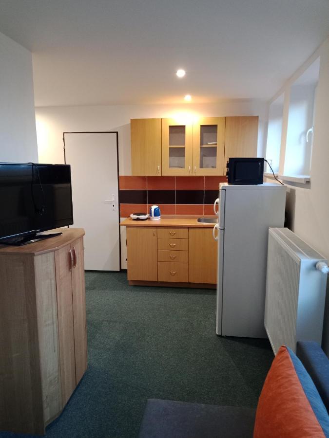 Apartman Obecni Hostinec Provodov (Hradec Kralove) Ngoại thất bức ảnh